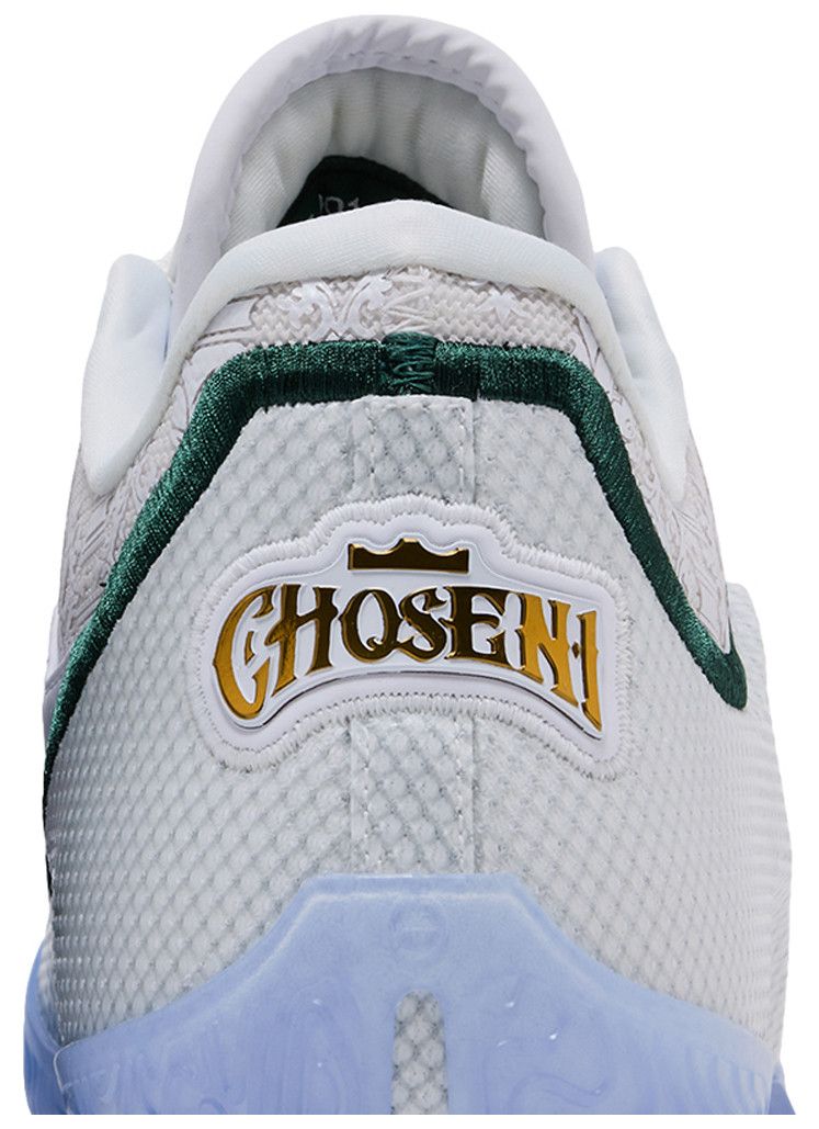 Nike Lebron 23 From This Point Forward