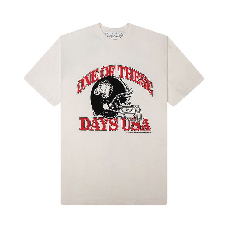 One Of These Days USA T Shirt Bone