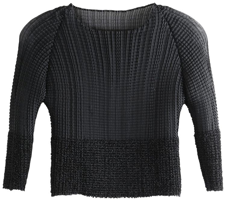 Issey Miyake Sheer Fuzzy Pleats Shirt Black