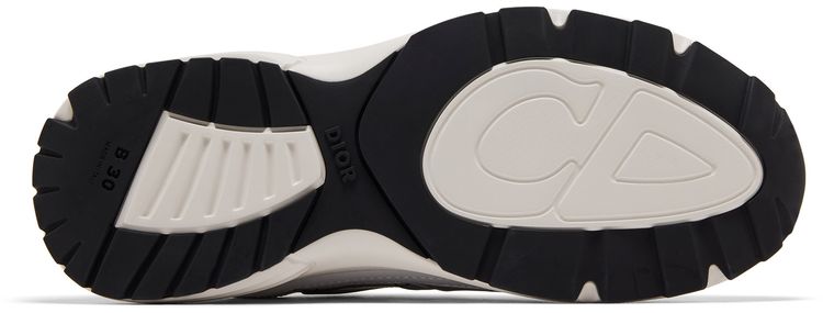 Dior B30 White Grey