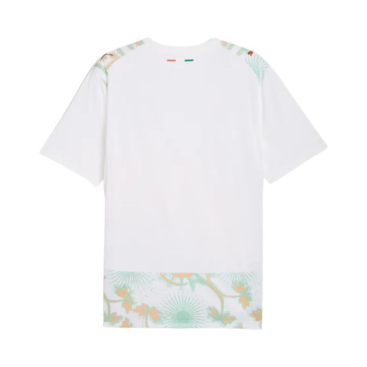 Puma Ivory Coast 2026 Away Kit Puma White Warm Chestnut
