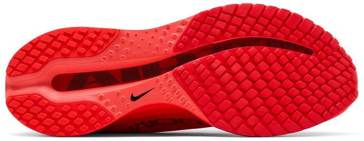 Nike Pegasus Premium Light Crimson