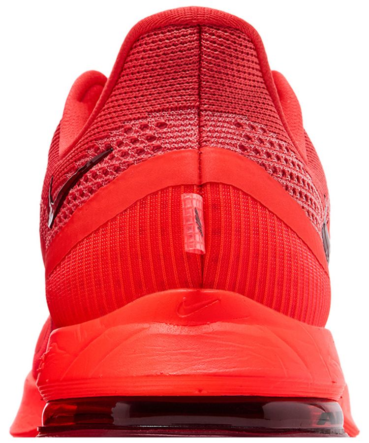Nike Pegasus Premium Light Crimson