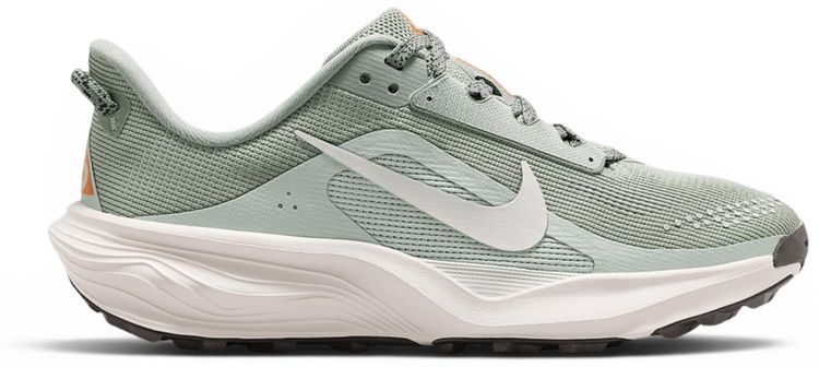 Nike ACG Pegasus Trail GS Jade Horizon