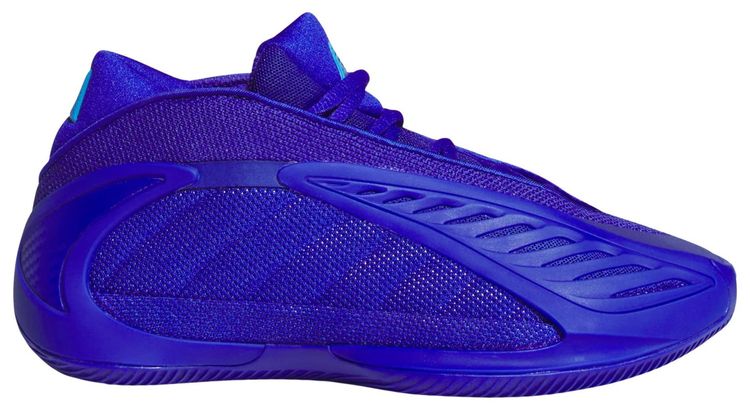 adidas AE 2 Big Kid Lucid Blue