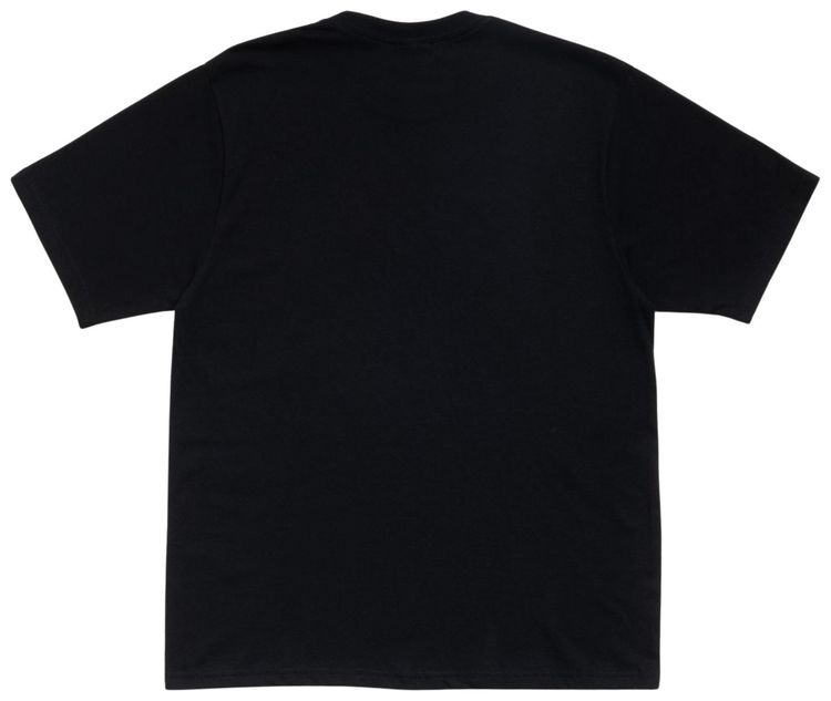 Stussy Citrus Tee Black