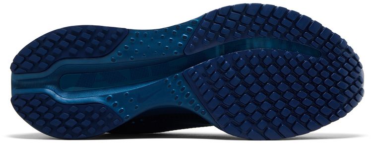Swarovski x Nike Wmns Air Zoom Pegasus Premium Blue Force