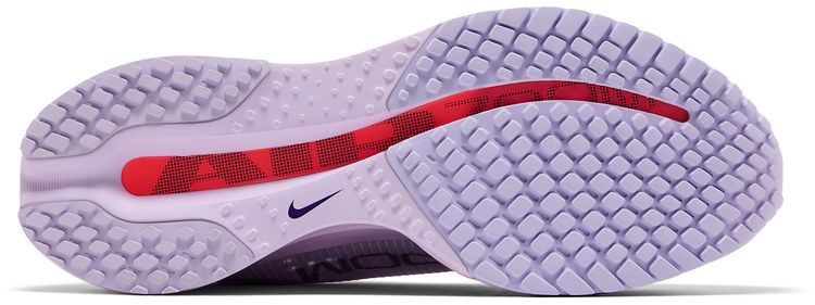 Nike Wmns Pegasus Premium Barley Grape