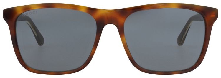 Gucci Square Frame Acetate Sunglasses HavanaBlue