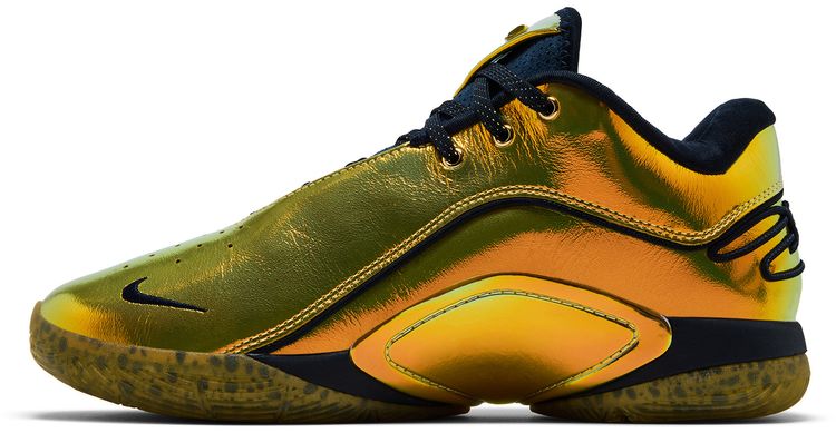 Nike LeBron 22 Immortalized Pack
