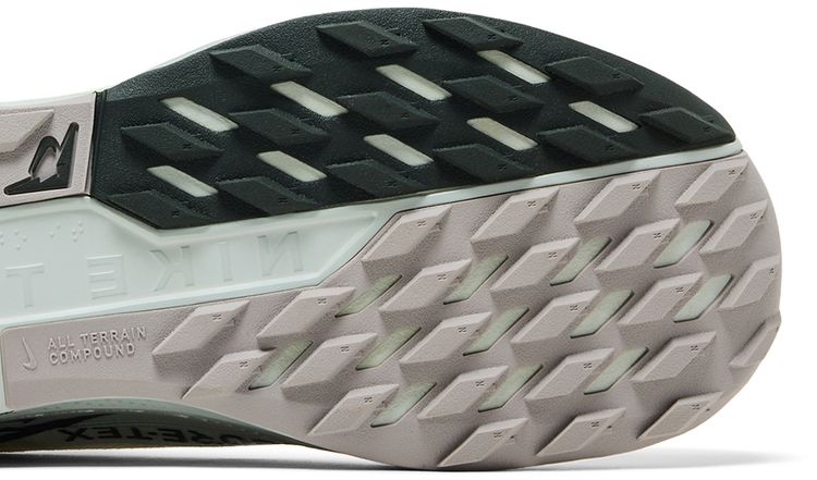 Nike Pegasus Trail 5 GORE TEX Light Silver Sequoia