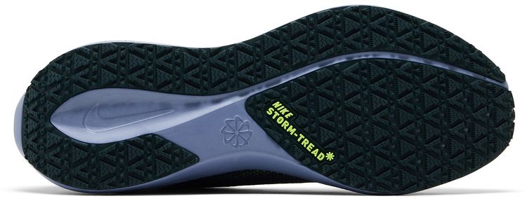 Nike Air Zoom Pegasus 41 GORE TEX Cannon Obsidian