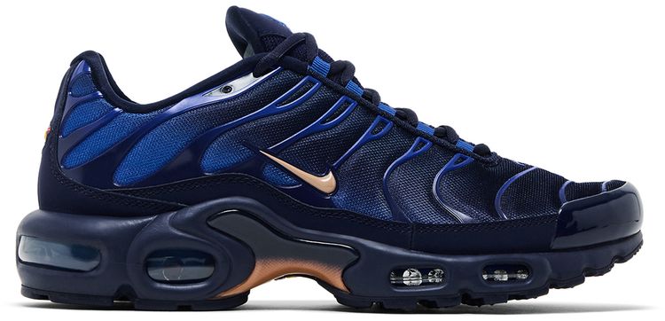 Nike Air Max Plus French Football Federation