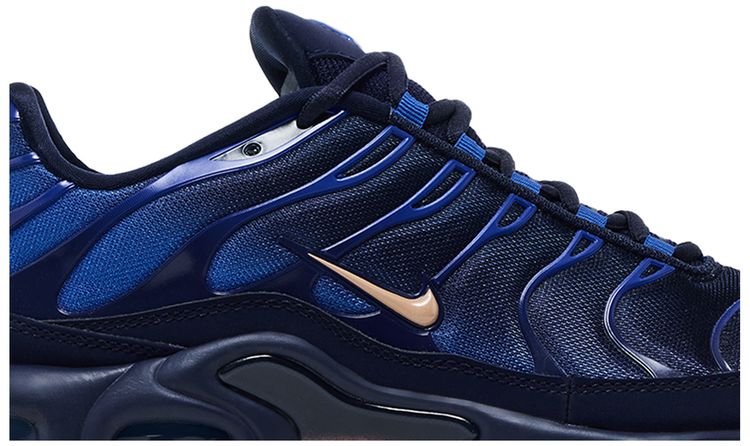Nike Air Max Plus French Football Federation