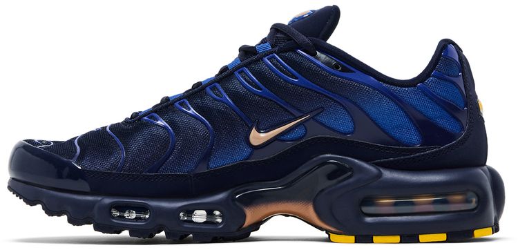 Nike Air Max Plus French Football Federation