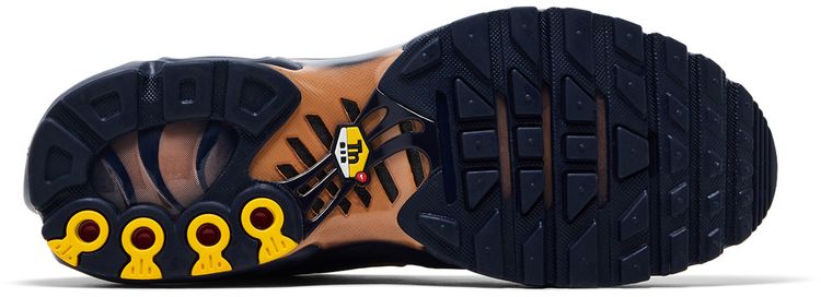 Nike Air Max Plus French Football Federation