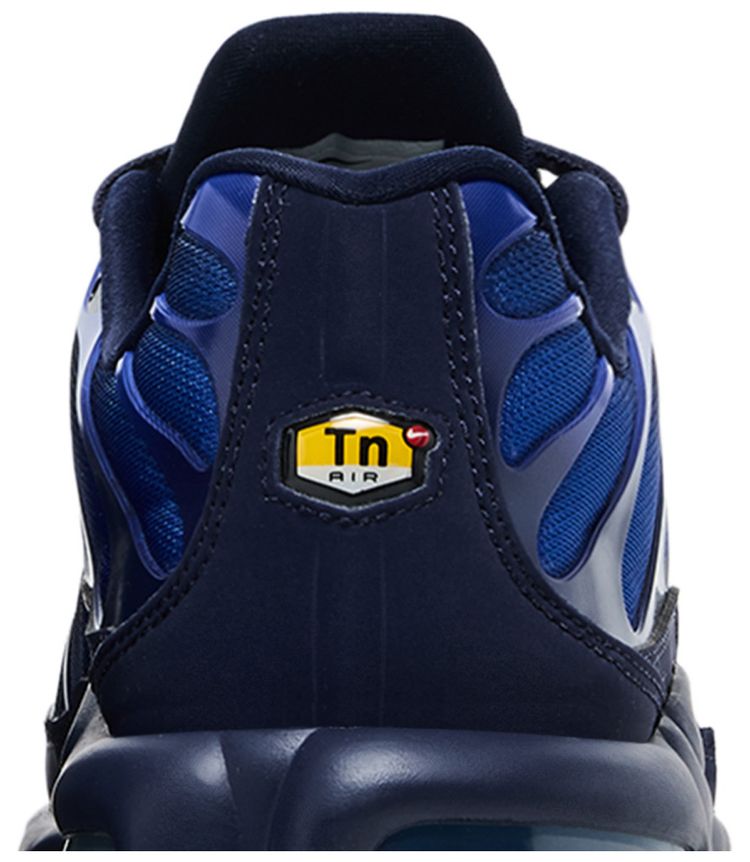 Nike Air Max Plus French Football Federation