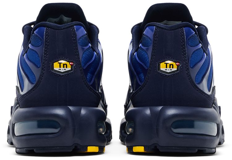 Nike Air Max Plus French Football Federation