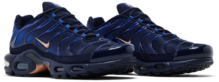 Nike Air Max Plus French Football Federation
