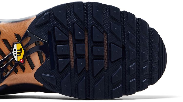 Nike Air Max Plus French Football Federation