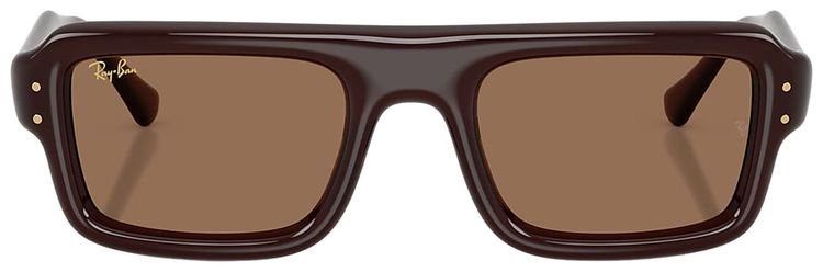 Ray Ban x AAP Rocky Flacko Puffer Transparent BrownDark Brown