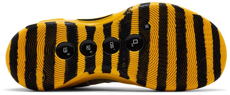 Li Ning Way of Wade 10 Caution