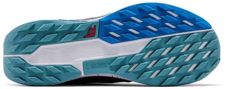 Nike Pegasus Trail 5 Blue Void Monarch