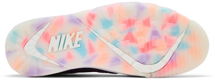 Nike Air Trainer SC Atlanta Olympics 30th Anniversary
