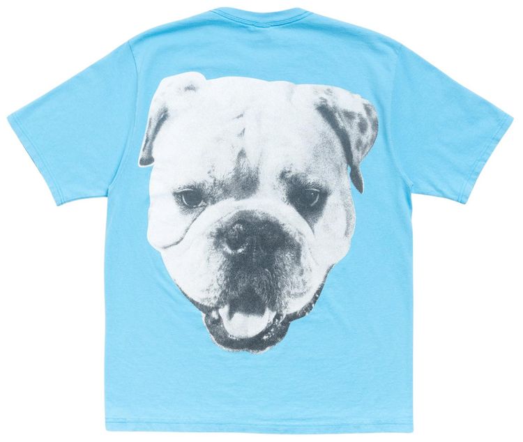 Stussy Big Dog Stone Washed Tee Sky Blue