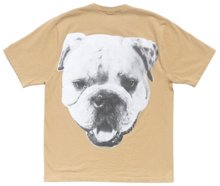 Stussy Big Dog Stone Washed Tee Khaki