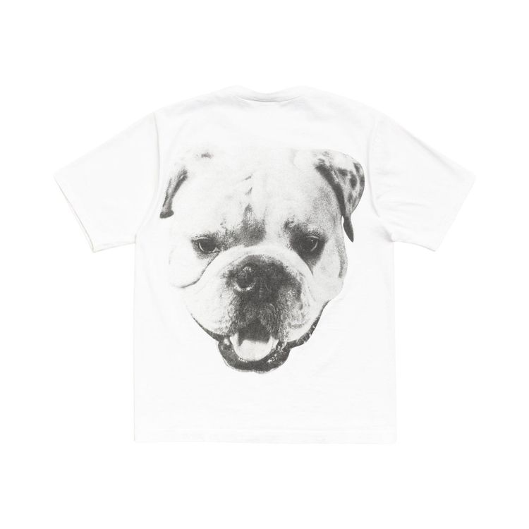 Stussy Big Dog Stone Washed Tee White