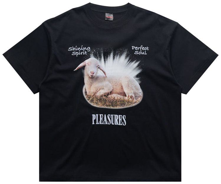 Pleasures Shine T Shirt Black