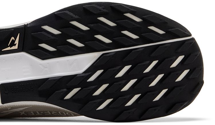 Nike Pegasus Trail 5 GORE TEX Vast Grey Sanddrift
