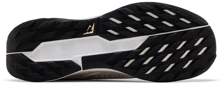 Nike Pegasus Trail 5 GORE TEX Vast Grey Sanddrift