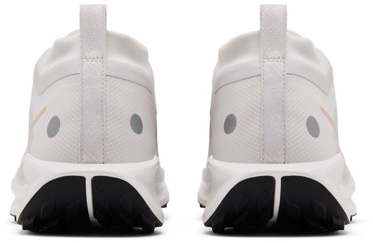 Nike Pegasus Trail 5 GORE TEX Vast Grey Sanddrift