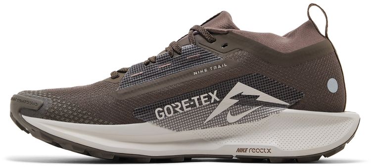 Nike Pegasus Trail 5 GORE TEX Ironstone Velvet Brown