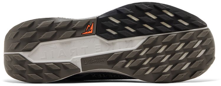Nike Pegasus Trail 5 GORE TEX Ironstone Velvet Brown