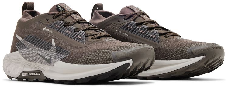 Nike Pegasus Trail 5 GORE TEX Ironstone Velvet Brown