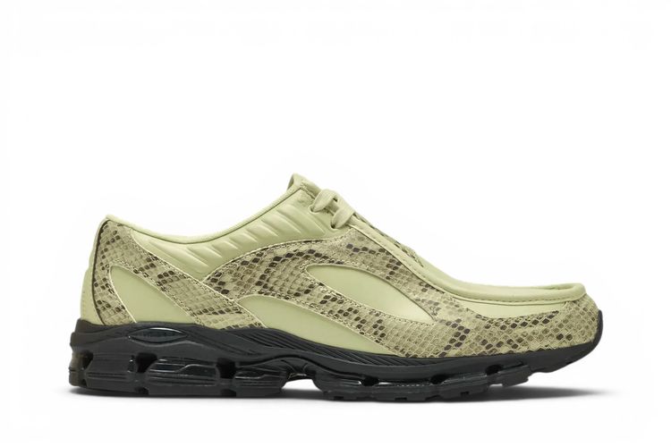 1890 Morel/Black