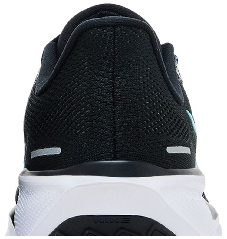 Nike Air Zoom Pegasus 41 Black Dusty Cactus