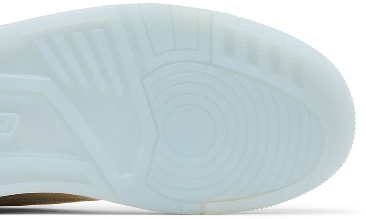 Wmns Air Jordan 3 Champagne and Oysters