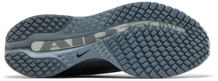 Nike Air Zoom Pegasus Premium Wolf Grey