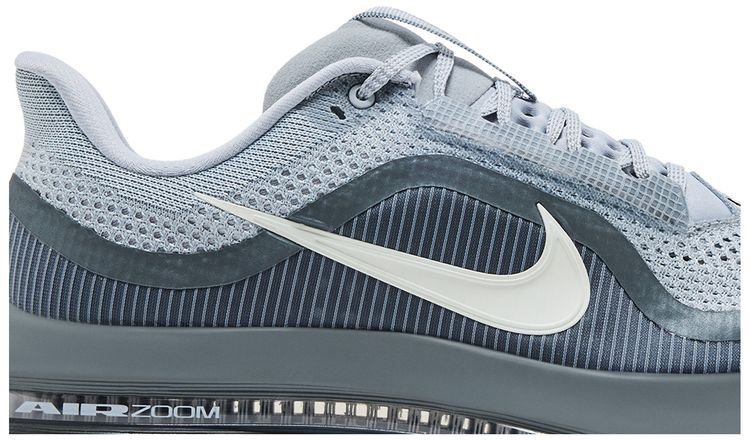Nike Air Zoom Pegasus Premium Wolf Grey