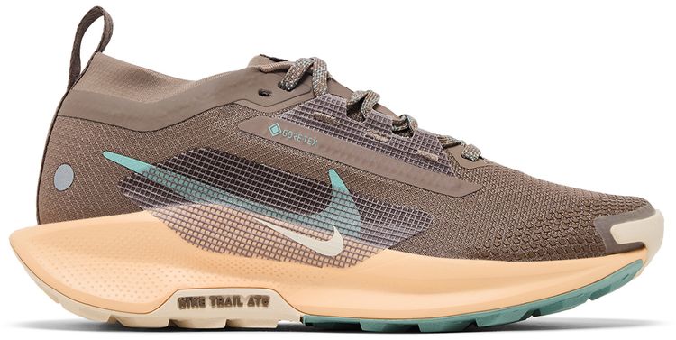 Nike Wmns Pegasus Trail 5 GORE TEX Mink Brown Orange Chalk