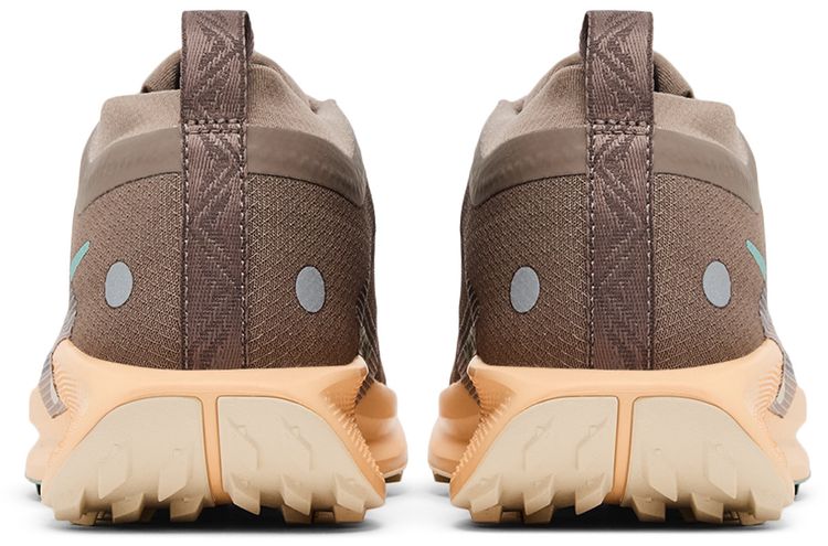 Nike Wmns Pegasus Trail 5 GORE TEX Mink Brown Orange Chalk