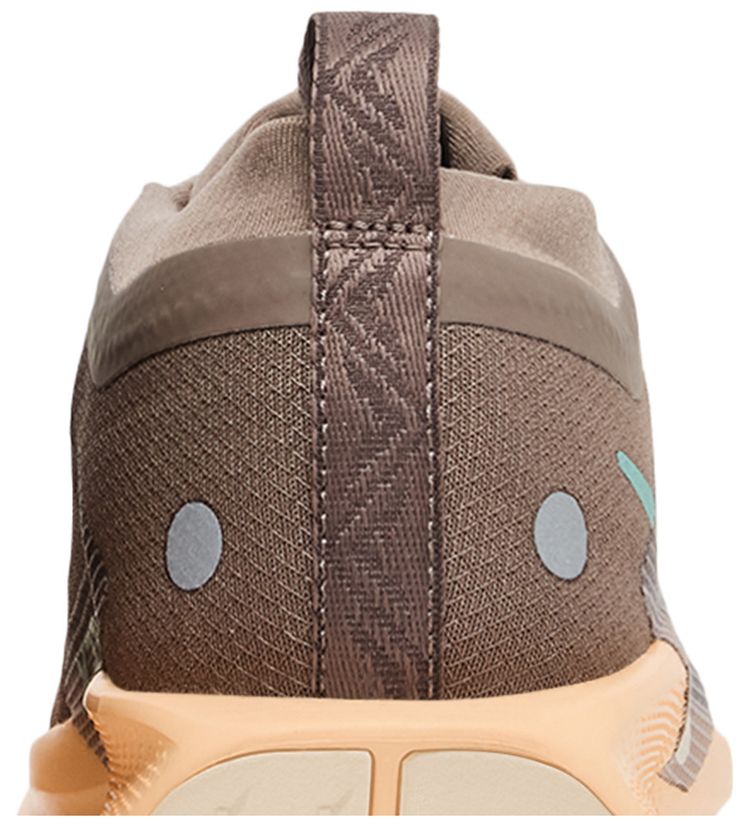 Nike Wmns Pegasus Trail 5 GORE TEX Mink Brown Orange Chalk