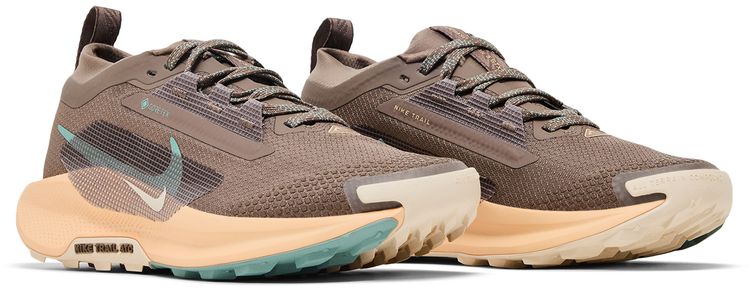 Nike Wmns Pegasus Trail 5 GORE TEX Mink Brown Orange Chalk