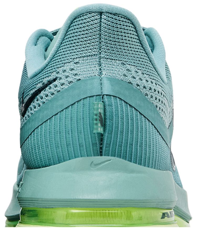 Nike Pegasus Premium Cannon