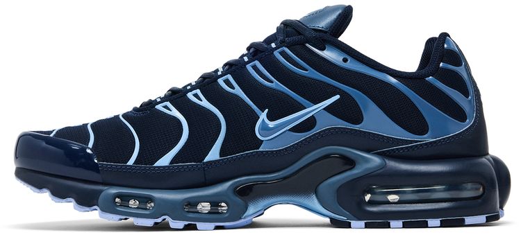 Nike Air Max Plus Obsidian Aluminum