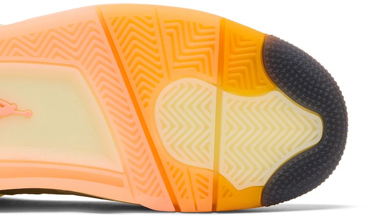 Air Jordan Wmns 4 Retro Birds Of Paradise